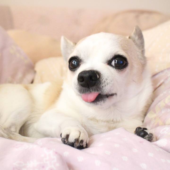 84fb6d22 474b 4c03 a84b baf439ba62bb