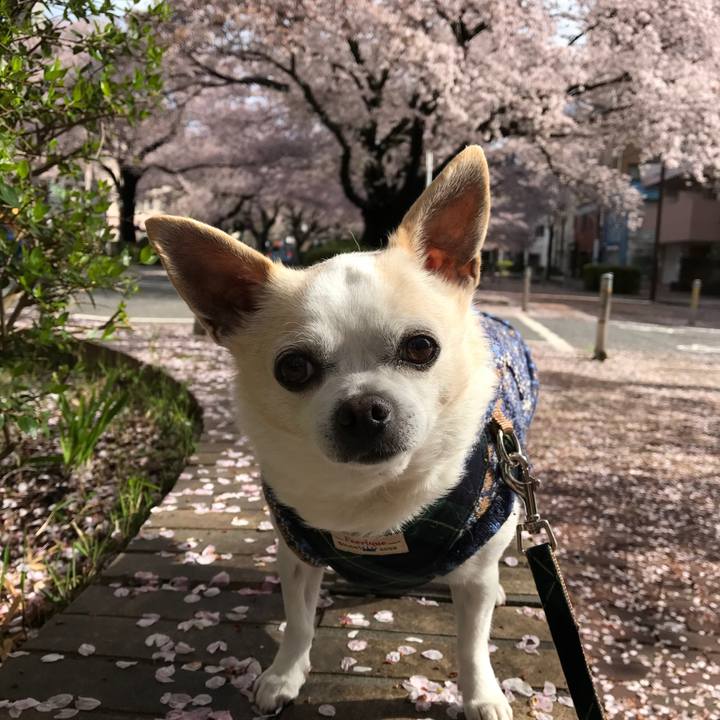 84fbaafd fff7 4960 b532 a594e341af8c