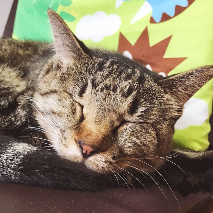 84fbe70e d406 432a 8ffc f142b325249c