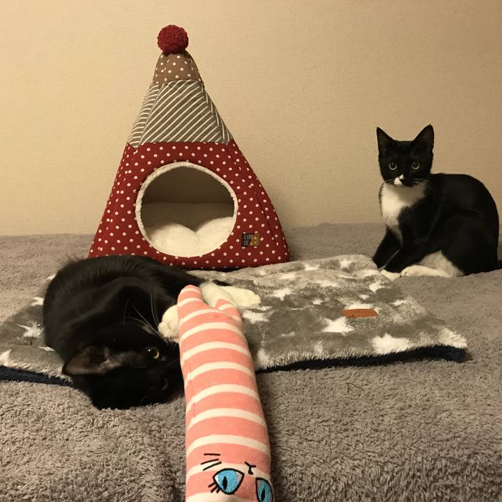 84fc14b8 fd23 4a80 92f3 d744e42f59eb