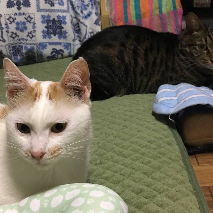 84fc1cdb 7640 4347 ad07 885153315a99