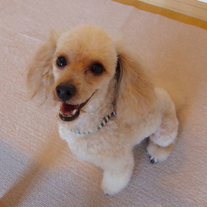 84fc646b 646c 443b bdf9 848684d9628b