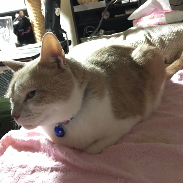 84fd2922 13e6 4ed3 b1c6 49ff0b431082