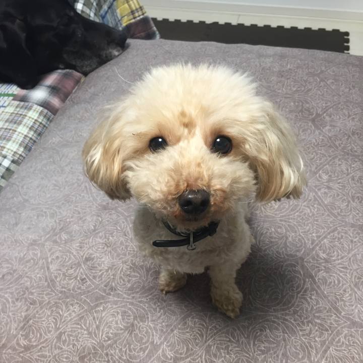 84fdd07f 1b3a 4e9c bd35 73576ad958ee