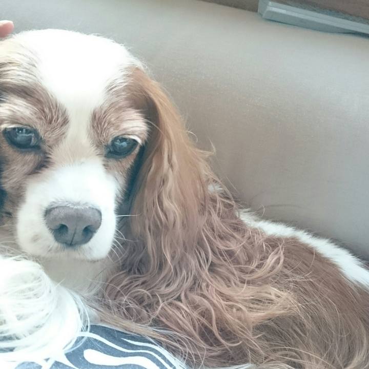 84fe95e7 a6db 439e bf40 a38981684c46