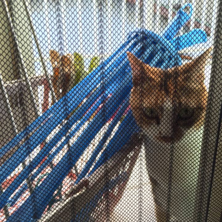 84fea8bd 4474 4d9c a77f ce005cc3608f