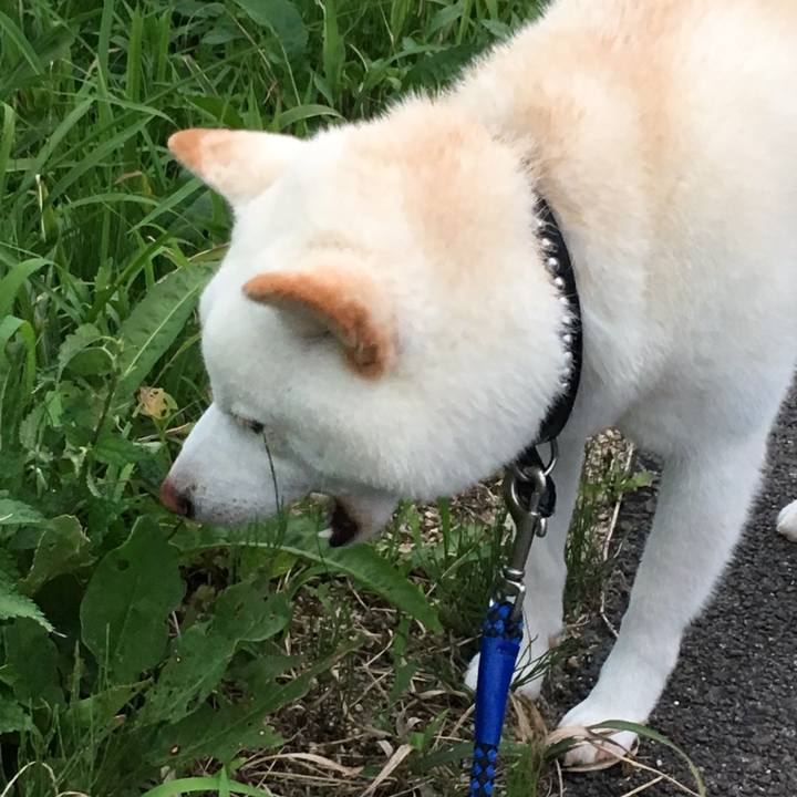 84fed431 9cad 435e 82d8 917719335994