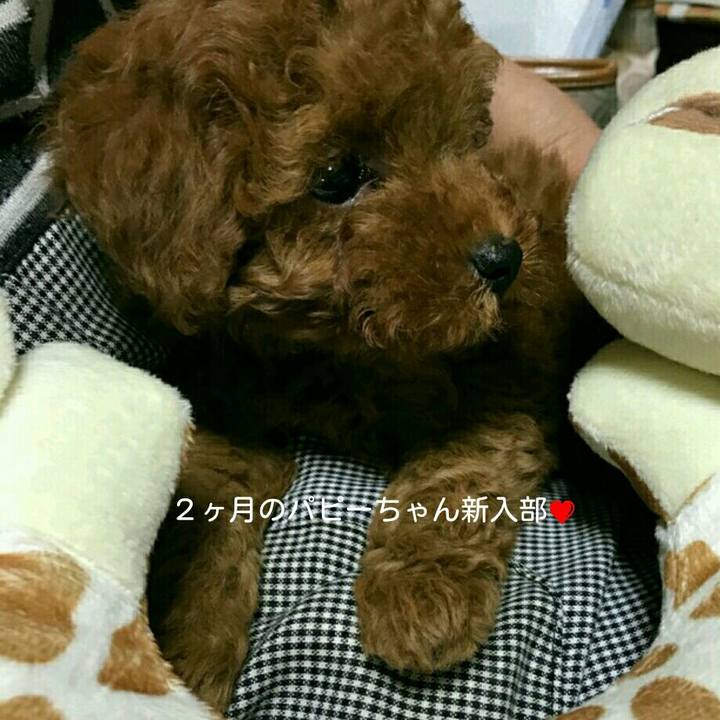 84fefb1e 611d 4629 926a 099962b97035