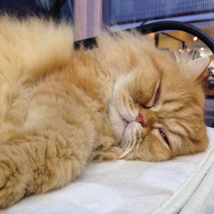 84ff03b7 f0b8 4fd3 85de a5abed7c33e4