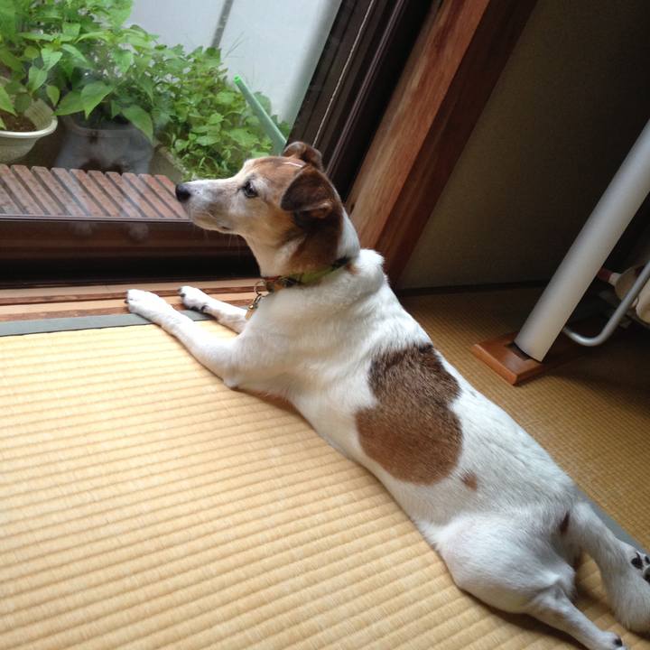 84ff90ca 28d9 4712 aa23 e8ce847f8e6c