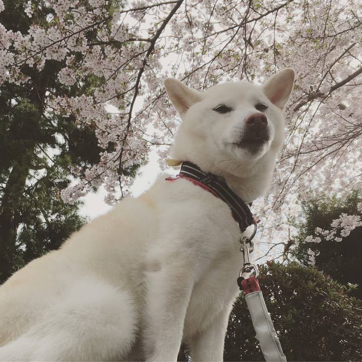 84fff976 49ab 4815 85f7 a31f1ca08230