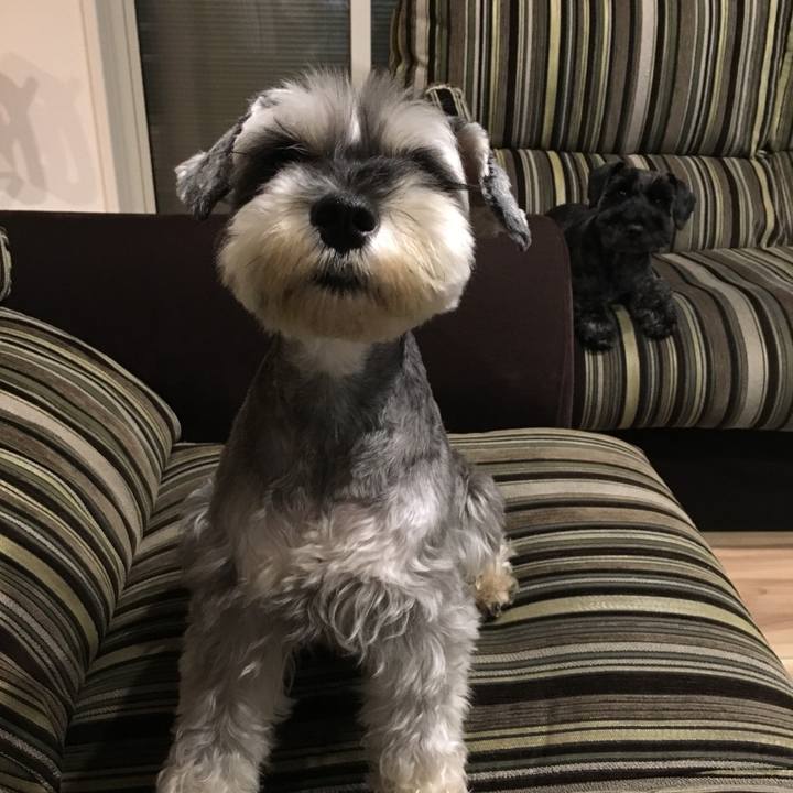 85003263 b5e9 4868 a9be d416ab095412