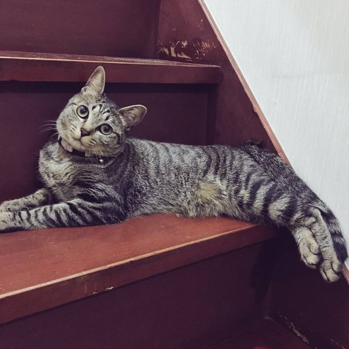 850034c9 154f 44e6 88ad 915f6042f82d