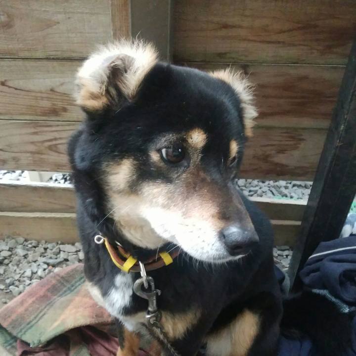 85008b49 61c8 4c33 9769 4eb2b317e6c0