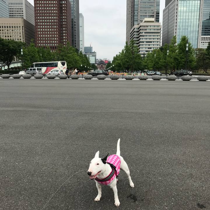 8500df62 baa4 4663 9a1c 9a26f11fad42