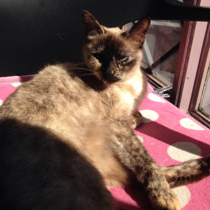 85011bdb 8d59 4e62 acdb 1c2fbdb09d75