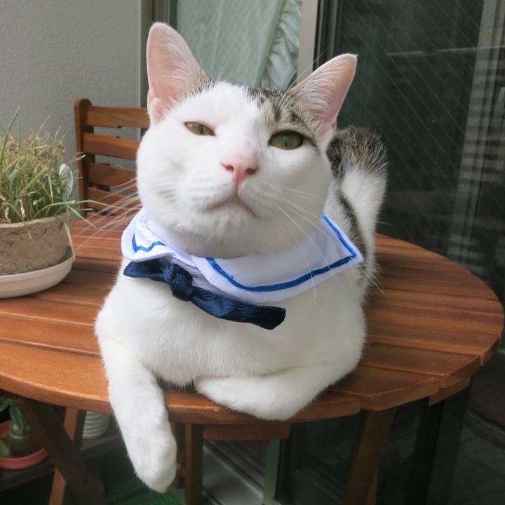 8501bad7 4208 443c afd2 d859fd5c27ce