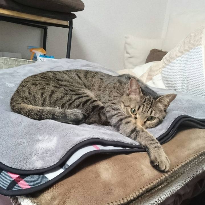 8501d7bb 6267 46ff bfa8 de5daadfe97d