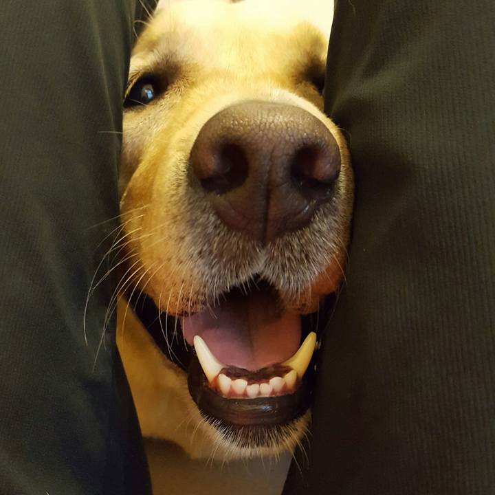 8502100c 56fe 47d8 b3ef 9d01714c9225