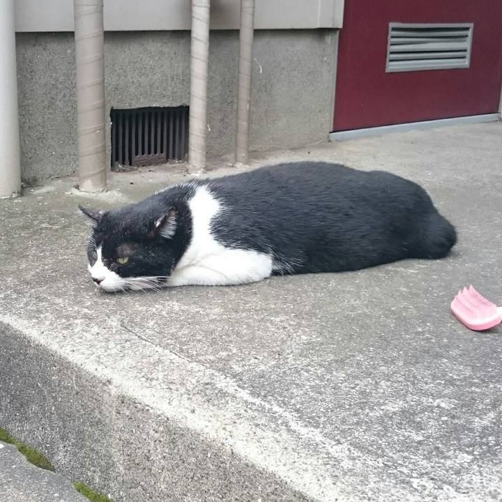 85029300 ea62 430e 95ea 05528d77a9fe