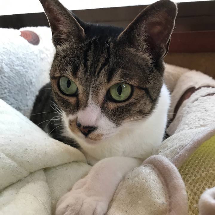 8502f924 433a 4907 97b9 4497621ac4e3