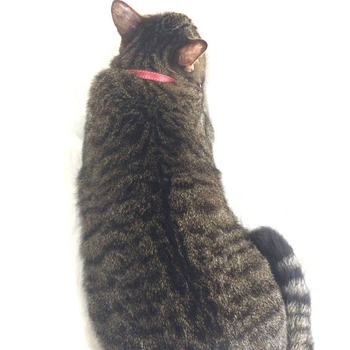 85031911 bd33 4116 aa63 0cfb56a881f3