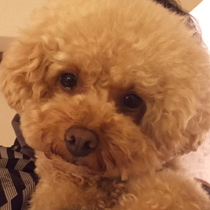 85034aca c2d8 4374 9e28 063f2b7f0a46