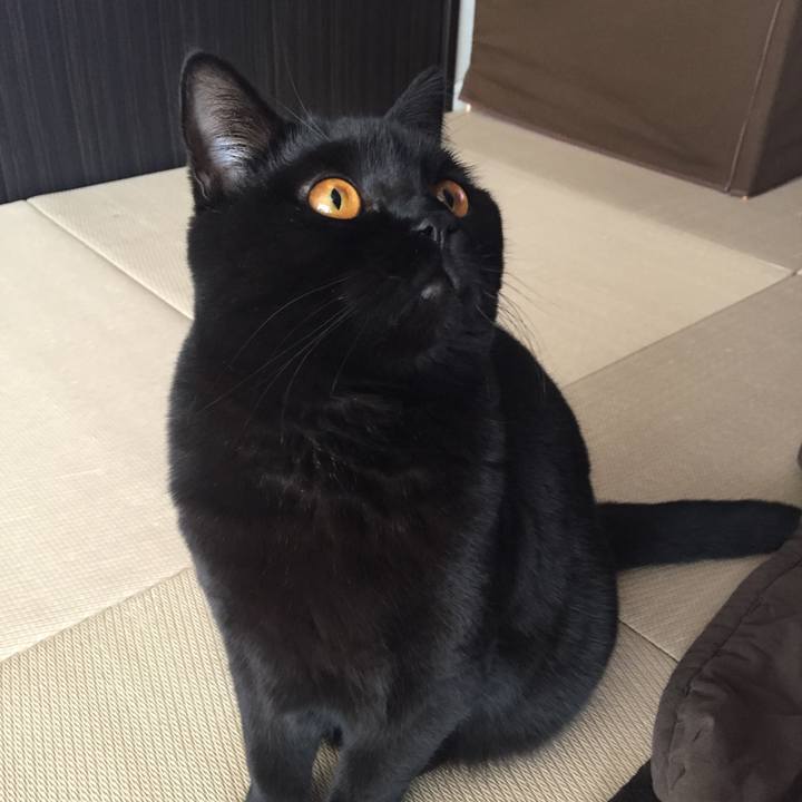 850352fa 373f 411b a994 b14056668c74