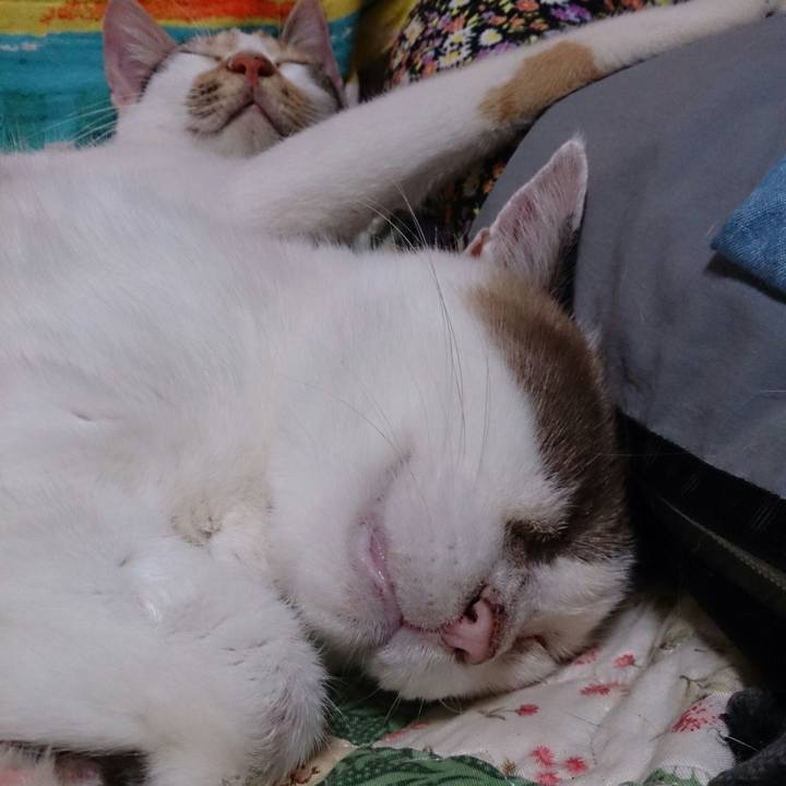 85043f1b 6ee2 4f3b 85e8 5dc82c5e171f