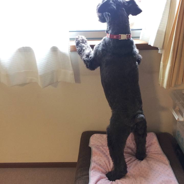 85049828 be8b 41bb 90b1 2da92640b89c