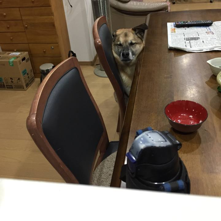 85060593 ac64 44f0 b583 50f6acd19868