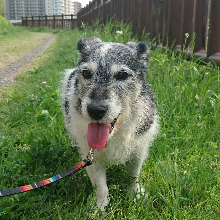 85066f3b cd7b 40c3 af54 fd6194cbaf59