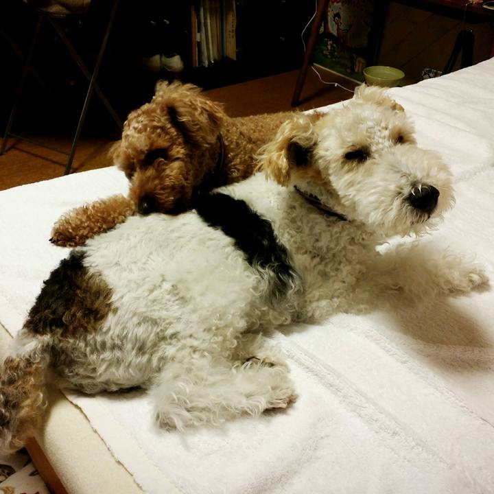 85067d46 dac8 47f6 827c 08a340a399c8