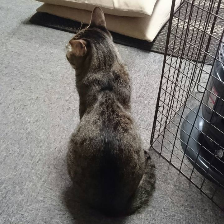 8506b7ea 3ca5 460c aab0 fbdd8113eb4f