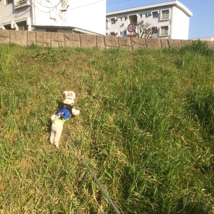 85077618 3365 4c1e 9135 8db99df5eda5