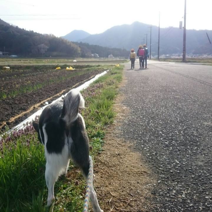 8507a7c3 869e 4f23 9e7a 1f32f77f6027