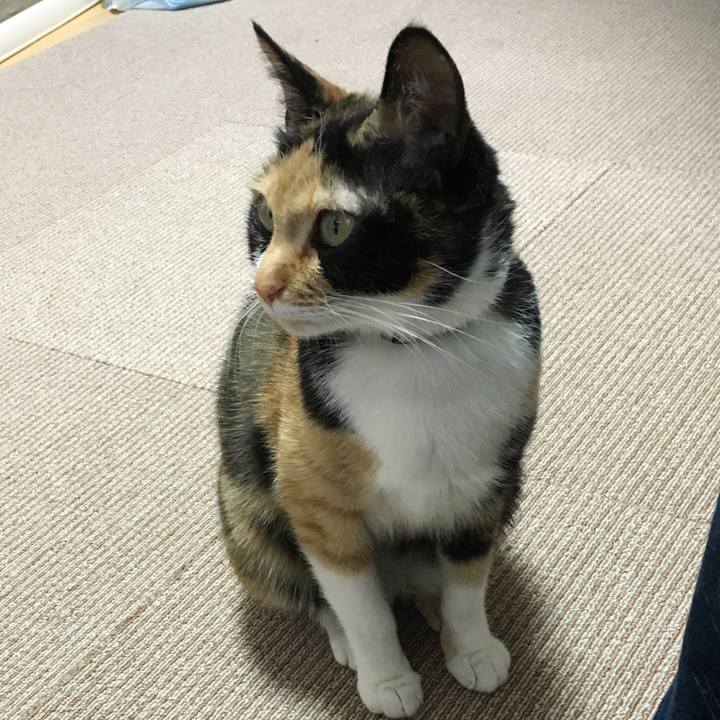 8507c8f1 80d0 4e9e af95 8afb89b40365