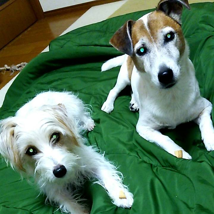 85080993 979e 4fe0 886d d988ff69d72f