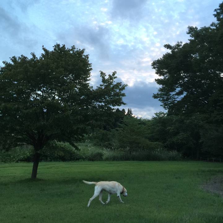 8508617a 59bc 486e bedb 4d2c62da4b4c