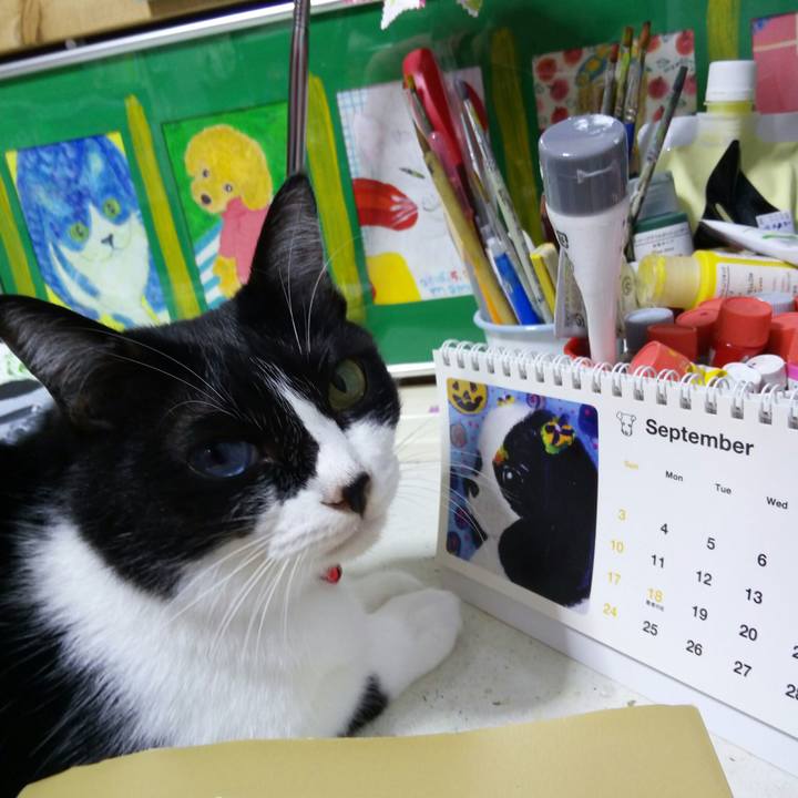 85089875 51de 4aad 8f92 b73b80e25aac