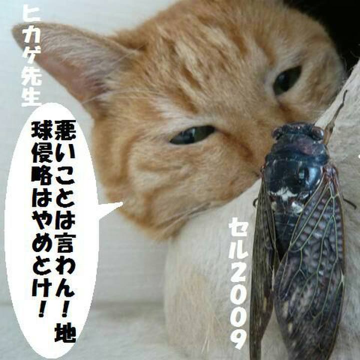 8508b826 021e 4cc8 8add 9d35941a23b7