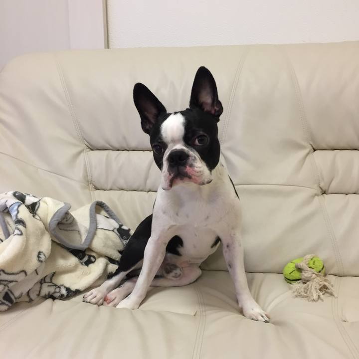 8508cfef 6906 4801 aa44 fbae53c2bc0a