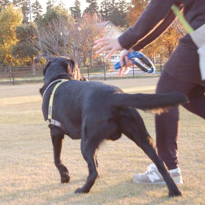 85095095 b06d 44bf a456 7b6d58854edb