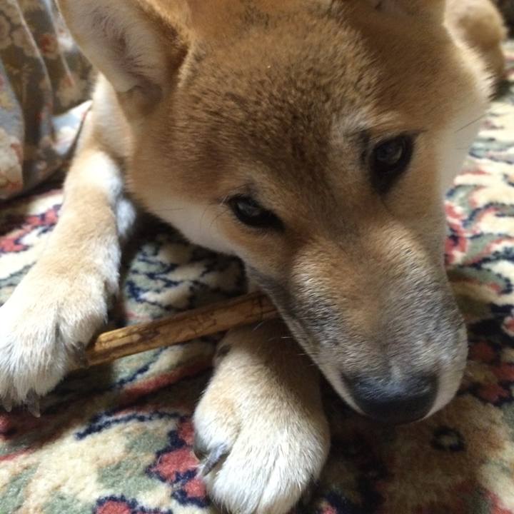 850a2211 6619 4c72 b1d5 d81ddc1901f0