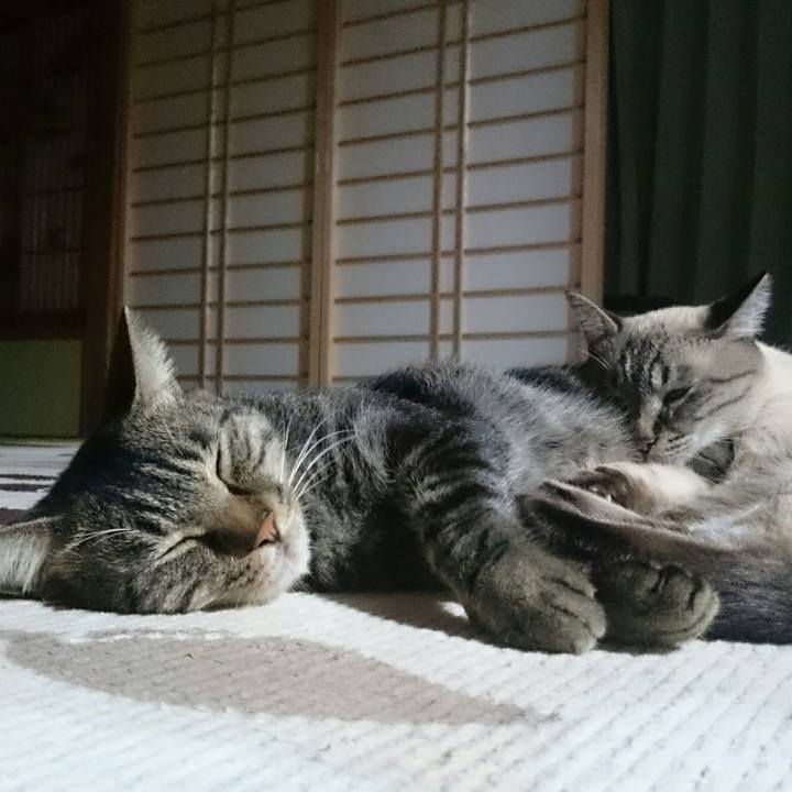 850a411e 7b42 4c9f 997c 41bf9fc5bdd5