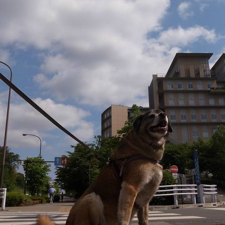 850a84f9 8b39 404a 90a1 2c33c5dc7757