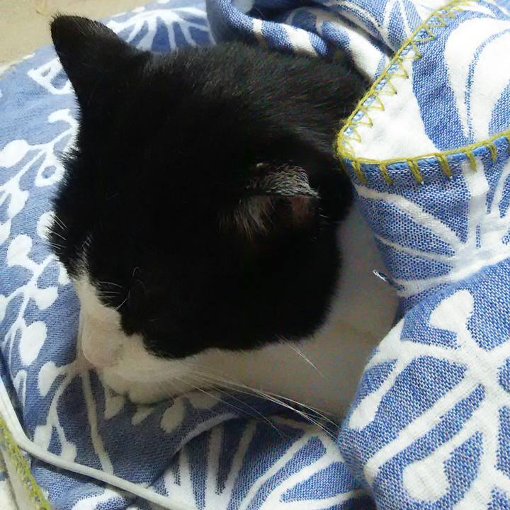 850ad909 8902 4e75 9a36 dd201b7a0541