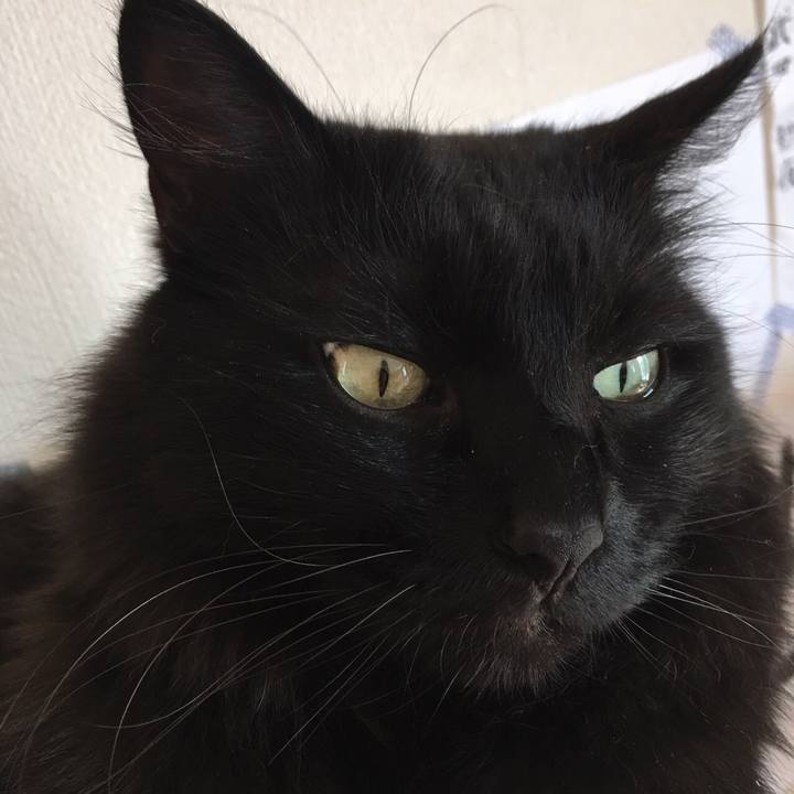 850b3deb 9b74 4b90 aea3 ed0a544912bc