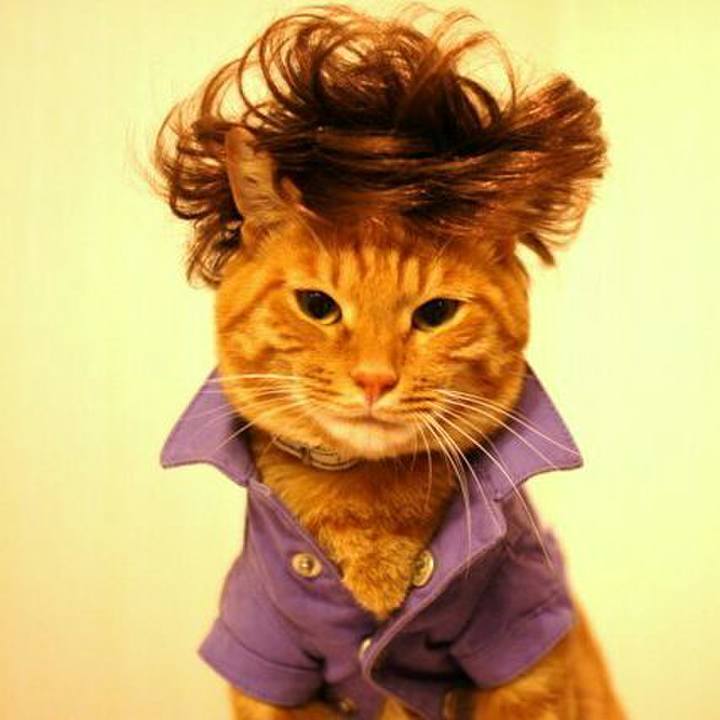 850b48ca d38f 4762 9c64 e415f4079d60