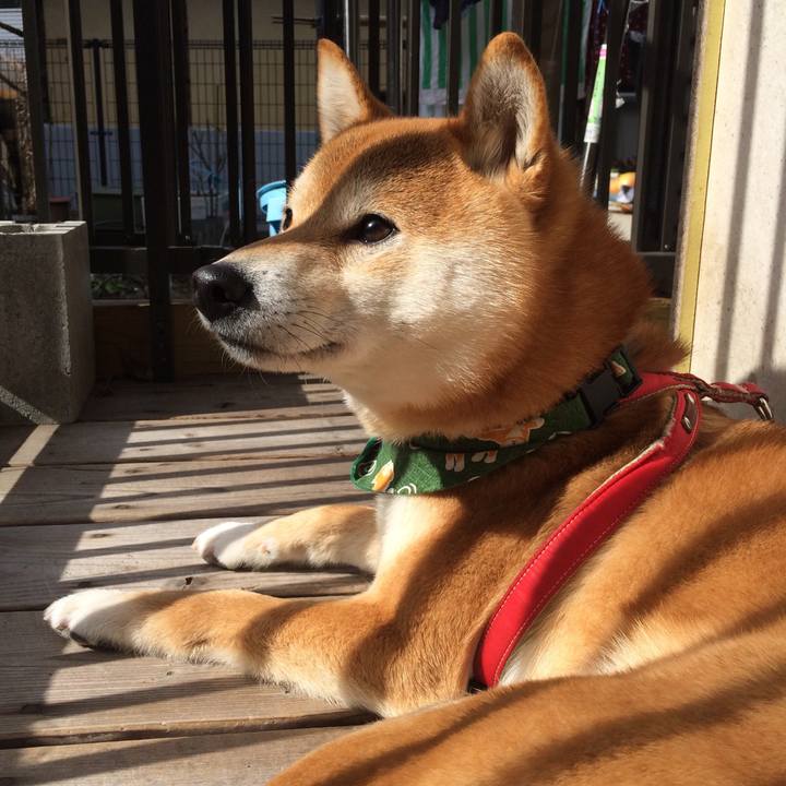 850ba470 6c5b 4d01 9ff1 eb4fe58fede9